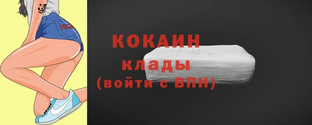 гидра Коряжма