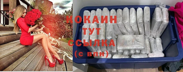 гидра Коряжма