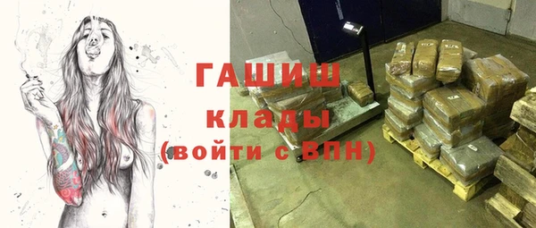 гидра Коряжма