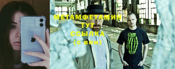 гидра Коряжма