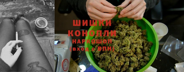 гидра Коряжма