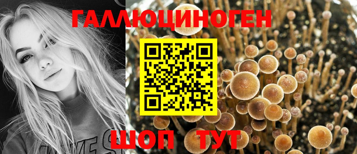Псилоцибиновые грибы Psilocybe  Вход с VPN  Новокузнецк  Галлюциногенные грибы Cubensis 