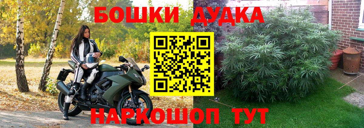 Марихуана LSD WEED  Бошки марихуана марихуана  Новокузнецк  Каннабис гибрид  Вход с VPN 